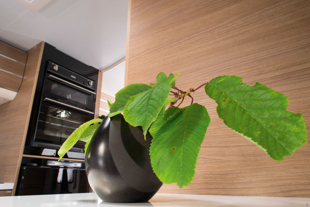 Adria Adora range 2014 artistic shot with fridge in the background